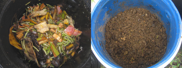 Bhavani Prakash - Food Waste to Compost
