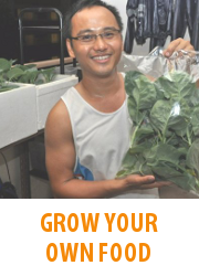 Tips - Grow Your Own Food