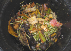 Learn about the problem of food waste